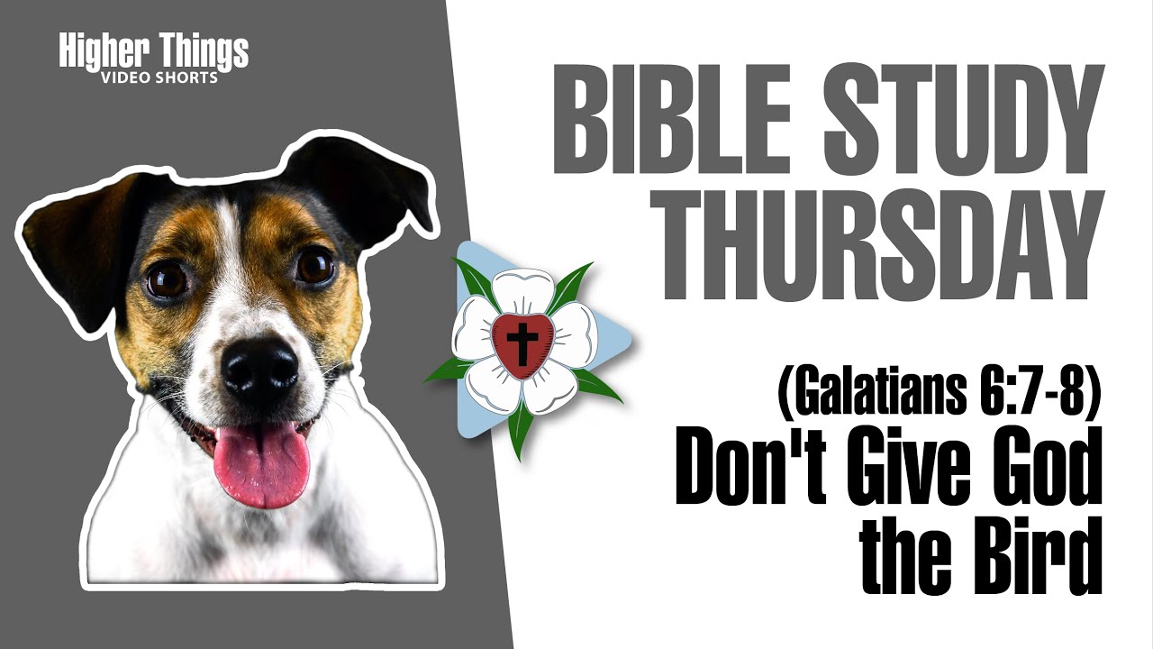 Don’t Give God the Bird – Gal 6:7-8 (Bible Study Thursday) – A Higher Things® Video Short