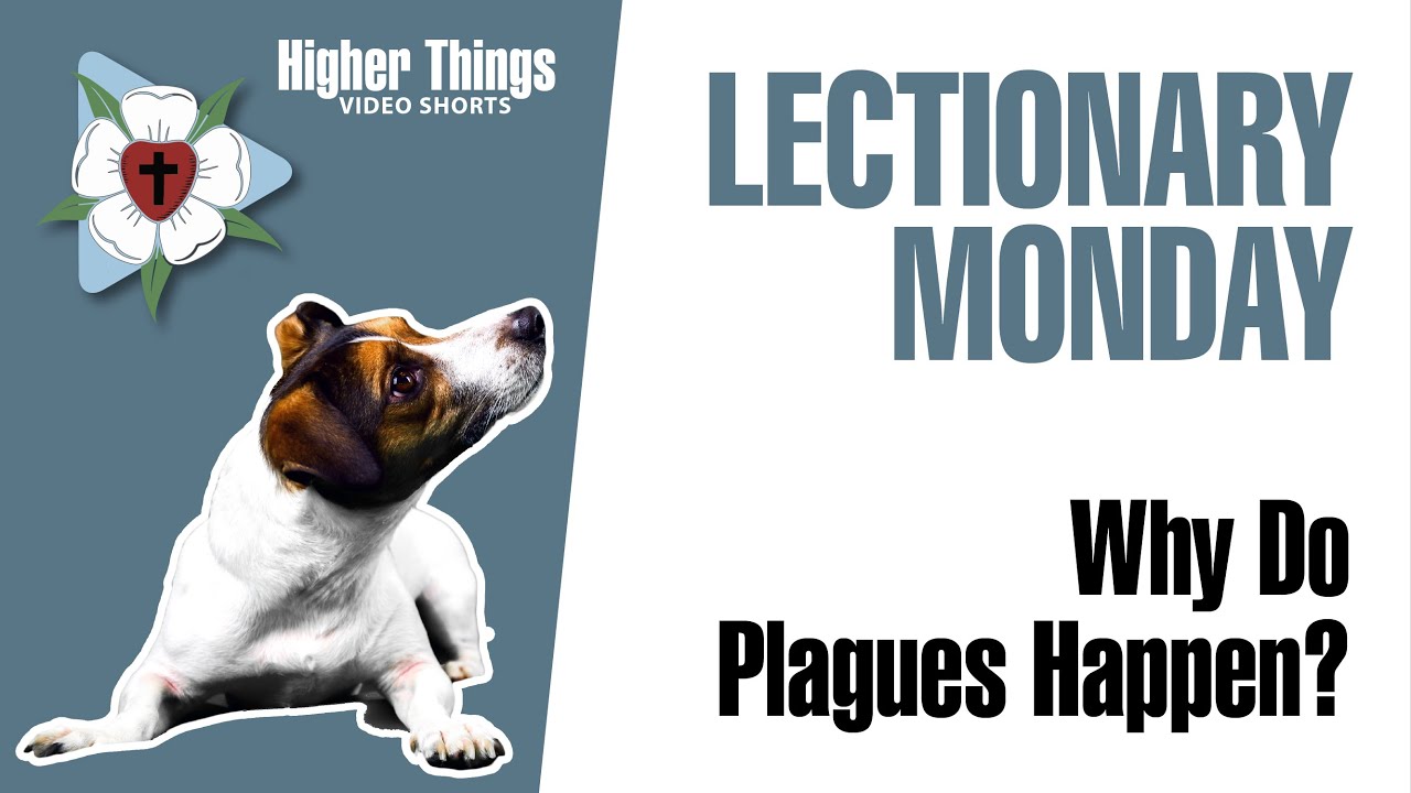 0316 Why Do Plagues Happen? – A Higher Things® Video Short