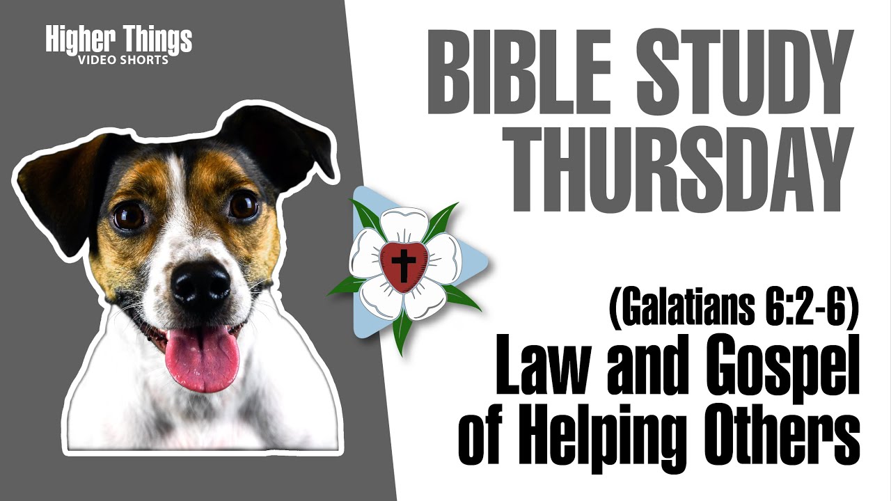 Law & Gospel of Helping Others – Gal 6:2-6 (Bible Study Thursday) – A Higher Things® Video Short