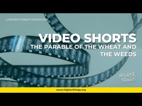 The Parable of the Wheat and the Weeds – A Higher Things® Video Short